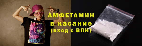 СК Алексин