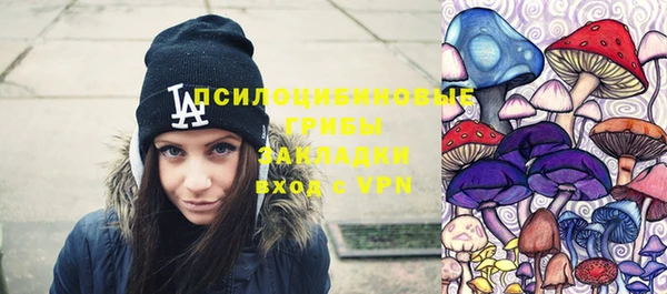 СК Алексин