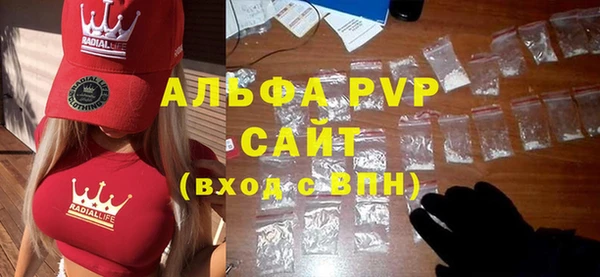 СК Алексин