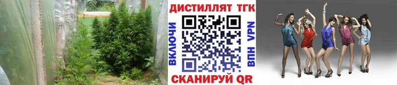 ТГК Wax  mega вход  Духовщина 